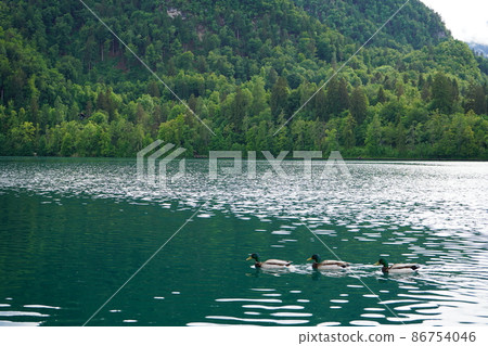 Lake Bled Lake Bled 86754046