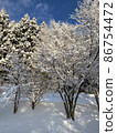 Trees with snow makeup 86754472