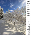 Trees in a snowy landscape illuminated by the dazzling sunlight 86754473