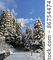 A snowy road leading to the depths of the cedar forest under the blue sky 86754474