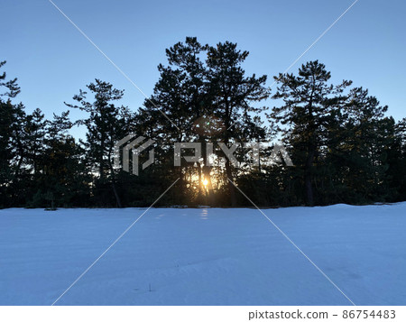 Chaoyang rising over the pine forest on a snowy day 86754483