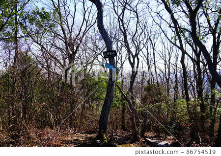 栃木大明神山峰會 栃木大明神山峰會 86754519