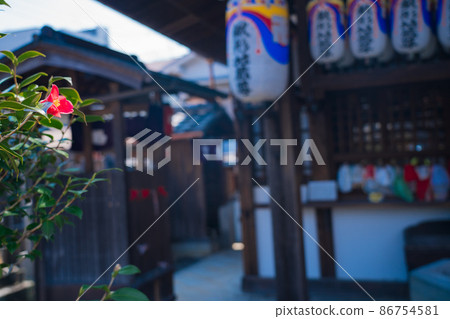 拍攝了以位於京都北區的五色八重山茶而聞名的地藏院。 86754581