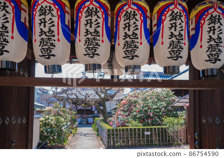 Photographed Jizouin, which is famous for the five-colored Yae-san camellia located in Kita-ku, Kyoto. 86754590