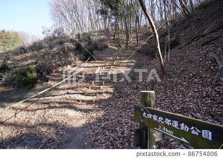 從大田區北部運動公園到唐佐山的徒步路線 爬上山脊的陡峭樓梯 從大田區北部運動公園到唐佐山的徒步路線 爬上山脊的陡峭樓梯 86754806