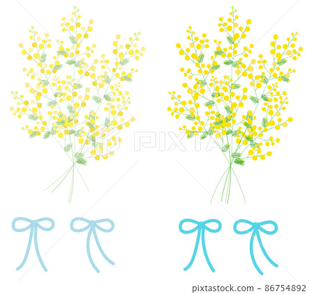 Mimosa bouquet Mimosa bouquet 86754892