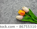 Tulips flower on gray background, white, yellow and orange tulips, Valentine's day background used for desktop wallpaper or website design. 86755310