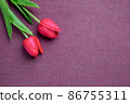 Tulips flower on violet background, red tulips, Valentine's day background used for desktop wallpaper or website design. 86755311