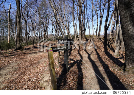從大田區北部運動公園到唐佐山匯合處的徒步路線和從北內露營地出發的徒步路線 從大田區北部運動公園到唐佐山匯合處的徒步路線和從北內露營地出發的徒步路線 86755584