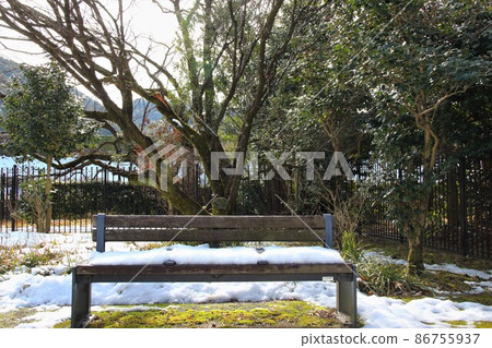 Walking around Gifu Park in winter ・ 65 (near Gifu Park, Gifu City) Walking around Gifu Park in winter ・ 65 (near Gifu Park, Gifu City) 86755937