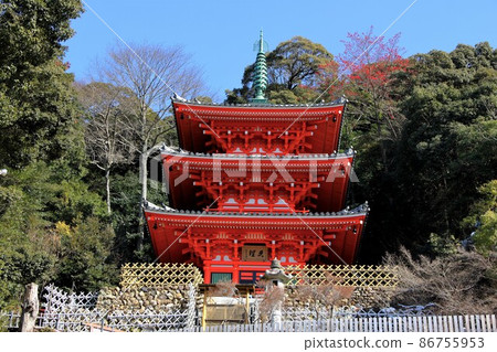 Walking around Gifu Park in winter ・ 49 (near Gifu Park, Gifu City) 86755953