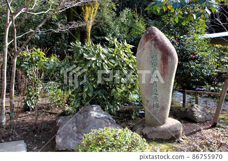 冬天在岐阜公園散步·32(岐阜市岐阜公園附近) 冬天在岐阜公園散步·32(岐阜市岐阜公園附近) 86755970
