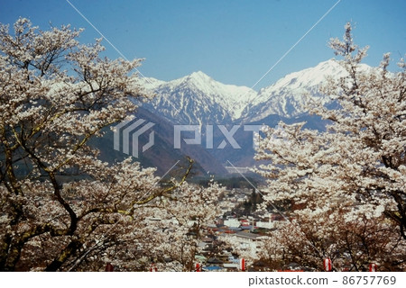 Northern Alps of snow remaining from Omachi Cemetery in full bloom of cherry blossoms Northern Alps of snow remaining from Omachi Cemetery in full bloom of cherry blossoms 86757769