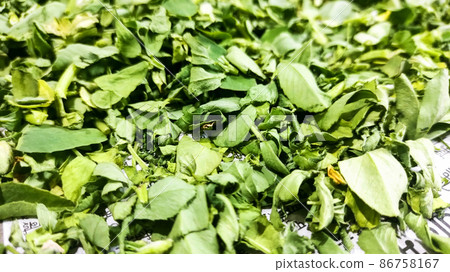 Green color dry Fenugreek leaves seasoning Green color dry Fenugreek leaves seasoning 86758167