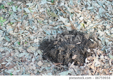 造型土墩 86759938