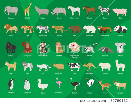 Illustration set of many kinds of animals 86760182