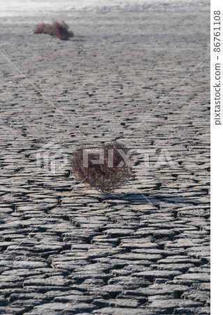 Tandohang mud flat Tandohang mud flat 86761108