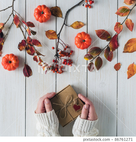 Woman packing gift in a box of kraft paper on white retro wood boards. leaves, rowan and small pumpkins. Thanksgiving. Autumn, fall concept. Flat lay, top view. Woman packing gift in a box of kraft paper on white retro wood boards. leaves, rowan and small pumpkins. Thanksgiving. Autumn, fall concept. Flat lay, top view. 86761271