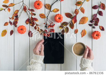 Woman with cup of coffee and tablet, leaves, rowan and small pumpkins on white retro wood boards. background. Autumn, fall concept. Flat lay, top view. 86761336