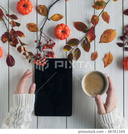 Woman with cup of coffee and tablet, leaves, rowan and small pumpkins on white retro wood boards. background. Autumn, fall concept. Flat lay, top view. Instagram 86761389