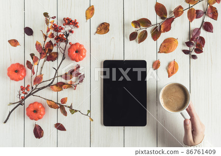 Woman with cup of coffee and tablet, leaves, rowan and small pumpkins on white retro wood boards. background. Autumn, fall concept. Flat lay, top view. Instagram style 86761409