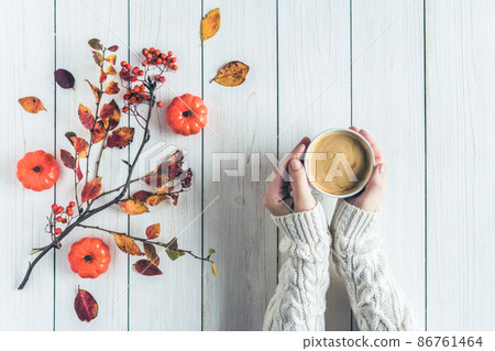 Woman with cup of coffee, leaves, small pumpkins and rowan on white retro wood boards. background. Autumn, fall concept. Flat lay, top view. 86761464