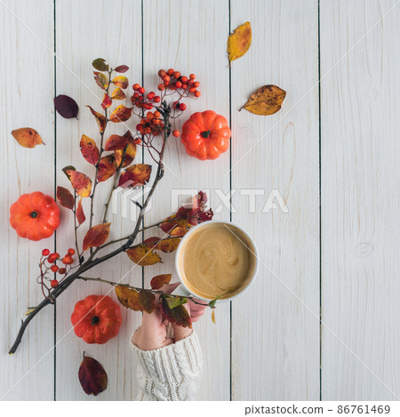 Woman with cup of coffee, leaves, rowan and small pumpkins on white retro wood boards. background. Autumn, fall concept. Flat lay, top view. Instagram style 86761469