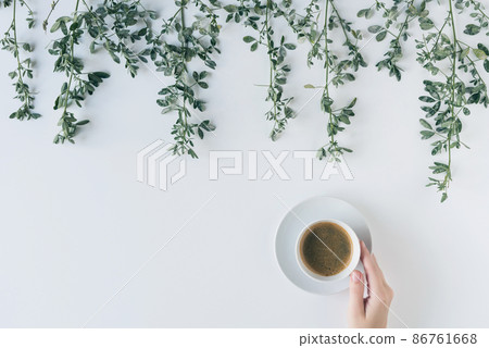 Female hands with a cup of coffee in branches with green leaves on a white table. Cofee art. Flat lay, top view. Female hands with a cup of coffee in branches with green leaves on a white table. Cofee art. Flat lay, top view. 86761668