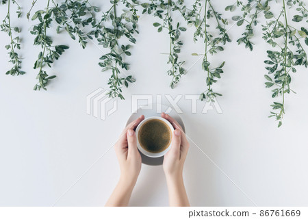 Female hands with a cup of coffee in branches with green leaves on a white table. Cofee art. Flat lay, top view. 86761669