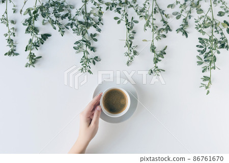 Female hands with a cup of coffee in branches with green leaves on a white table. Cofee art. Flat lay, top view. Female hands with a cup of coffee in branches with green leaves on a white table. Cofee art. Flat lay, top view. 86761670