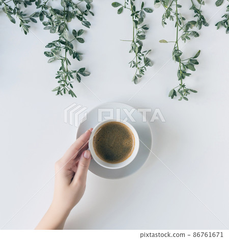 Female hands with a cup of coffee in branches with green leaves on a white table. Cofee art. Flat lay, top view. 86761671