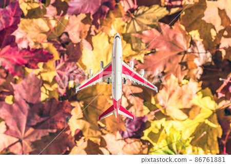 Small toy plane flying above the colorful autumn maple leaves background in the forest. Travel concept. Selective focus. 86761881
