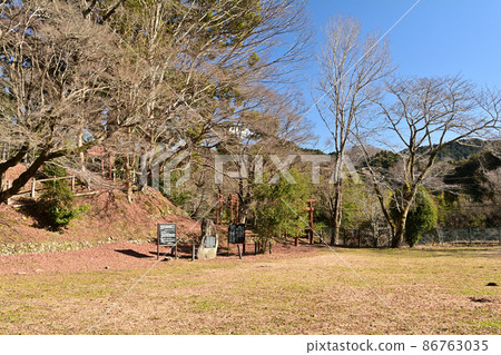 日本的100個精美城堡，長筱城 86763035