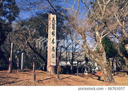 日本的100個精美城堡，長筱城 86763057