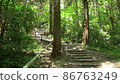 Mountain Trail-Shiroyama, Munakata City, Fukuoka Prefecture- 86763249