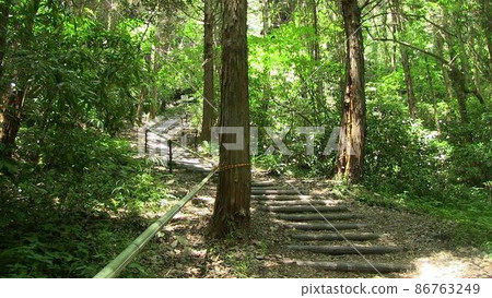 Mountain Trail-Shiroyama, Munakata City, Fukuoka Prefecture- Mountain Trail-Shiroyama, Munakata City, Fukuoka Prefecture- 86763249