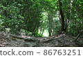 Mountain Road-Shiroyama, Munakata City, Fukuoka Prefecture- 86763251