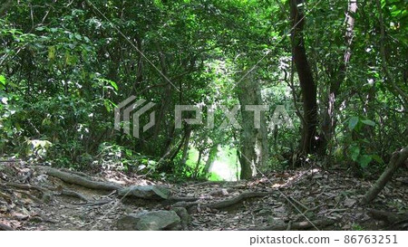 山路-福岡縣宗像市城山- 86763251