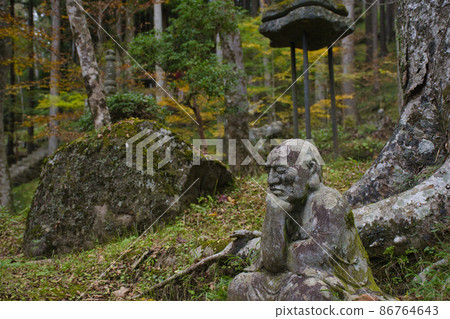 【神奈川縣箱根町】長安寺的500頭洛象 86764643