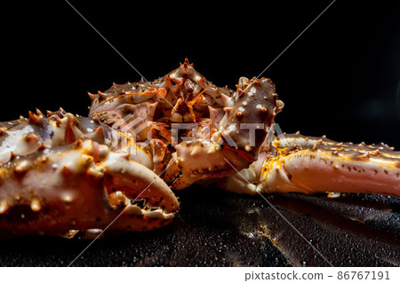 Raw live Kamchatka crab Paralithodes camtschatica, isolated on a black background 86767191