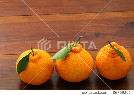 Dekopon with leaves Dekopon with leaves 86769205