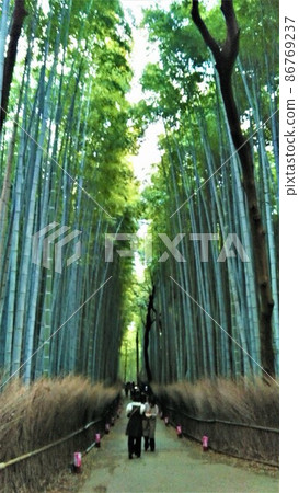 京都、嵯峨野、嵐山的小徑竹林,左右高大竹林的壯觀景色,以及青翠的嫩竹。 京都、嵯峨野、嵐山的小徑竹林,左右高大竹林的壯觀景色,以及青翠的嫩竹。 86769237