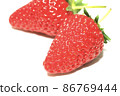 Strawberry  86769444