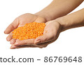 raw lentils in hands 86769648