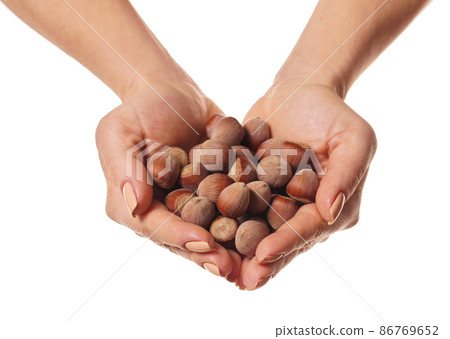 shelled hazelnuts in hands 86769652