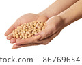 raw chickpeas in hands 86769654