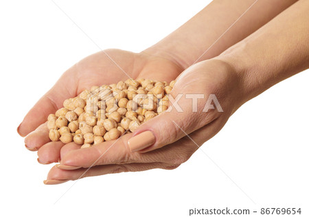 raw chickpeas in hands 86769654