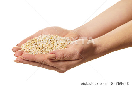 raw barley in hands 86769658