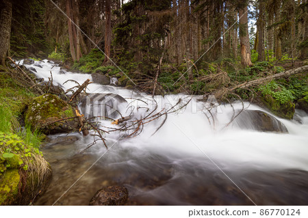 Mountain River in the wood. Beautiful wildlife landscape. 86770124