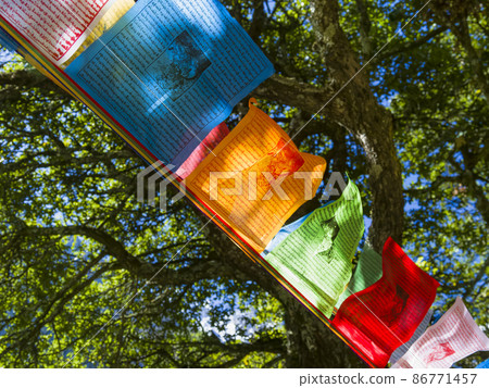 Tibetan Buddhist prayer flag 86771457